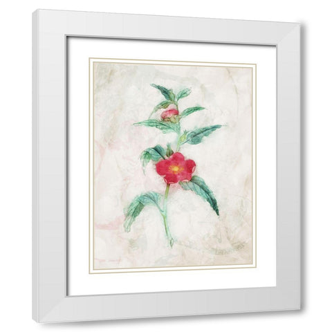 Water Flower White Modern Wood Framed Art Print with Double Matting by Villa, Mlli