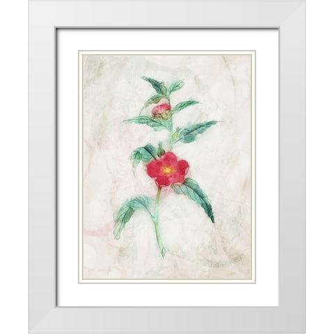 Water Flower White Modern Wood Framed Art Print with Double Matting by Villa, Mlli