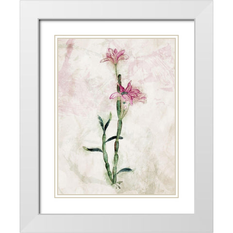 Water Flower Mate White Modern Wood Framed Art Print with Double Matting by Villa, Mlli