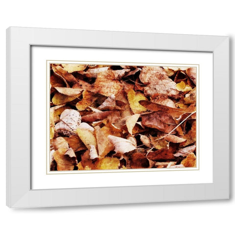 Group Of Leaves White Modern Wood Framed Art Print with Double Matting by Villa, Mlli