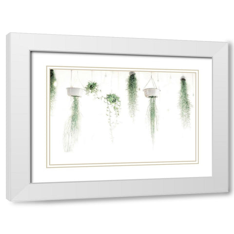 High Plants White Modern Wood Framed Art Print with Double Matting by Villa, Mlli