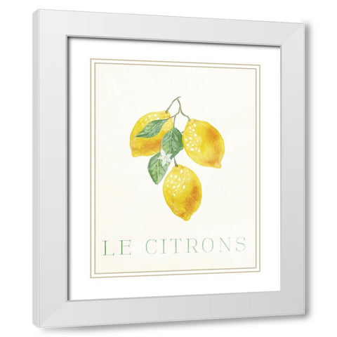 Clean Le Citrons White Modern Wood Framed Art Print with Double Matting by Villa, Milli