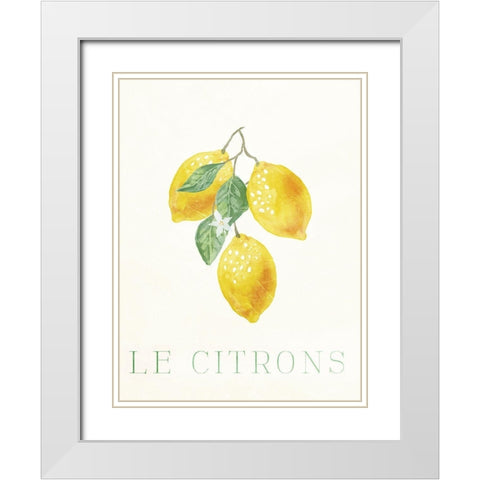 Clean Le Citrons White Modern Wood Framed Art Print with Double Matting by Villa, Milli
