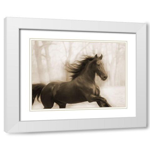 Horse In The Wind White Modern Wood Framed Art Print with Double Matting by Villa, Milli