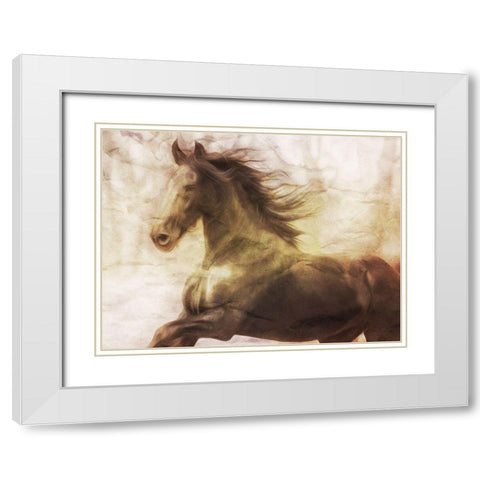 Horse On The Run White Modern Wood Framed Art Print with Double Matting by Villa, Milli