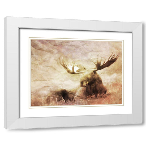 Moose Relaxing White Modern Wood Framed Art Print with Double Matting by Villa, Milli