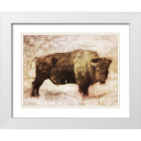 Buffalo Stance White Modern Wood Framed Art Print with Double Matting by Villa, Milli