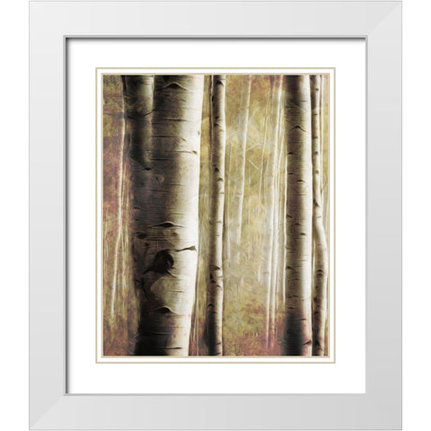 Burnt Birch Family 1 White Modern Wood Framed Art Print with Double Matting by Villa, Milli