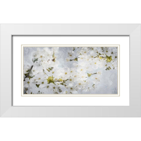 More White Flowers In Grey White Modern Wood Framed Art Print with Double Matting by Villa, Mlli