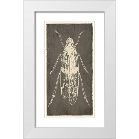 Bug Life One White Modern Wood Framed Art Print with Double Matting by Villa, Mlli