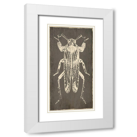 Bug Life Four White Modern Wood Framed Art Print with Double Matting by Villa, Mlli