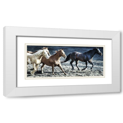 Lets Go Horses White Modern Wood Framed Art Print with Double Matting by Villa, Milli