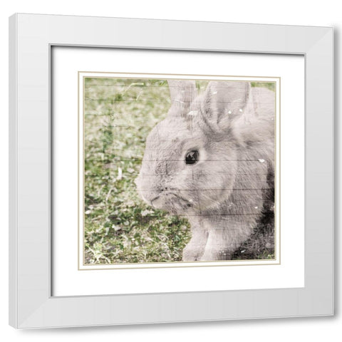 Bunny See White Modern Wood Framed Art Print with Double Matting by Villa, Mlli