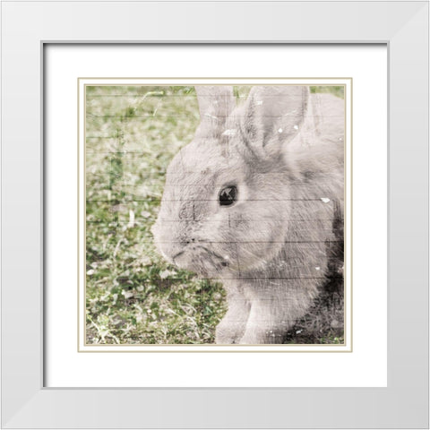 Bunny See White Modern Wood Framed Art Print with Double Matting by Villa, Mlli