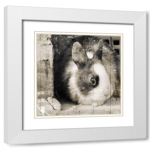 Bunny See Again White Modern Wood Framed Art Print with Double Matting by Villa, Mlli