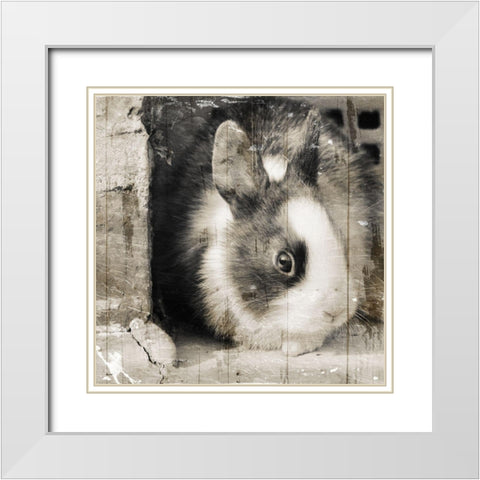Bunny See Again White Modern Wood Framed Art Print with Double Matting by Villa, Mlli