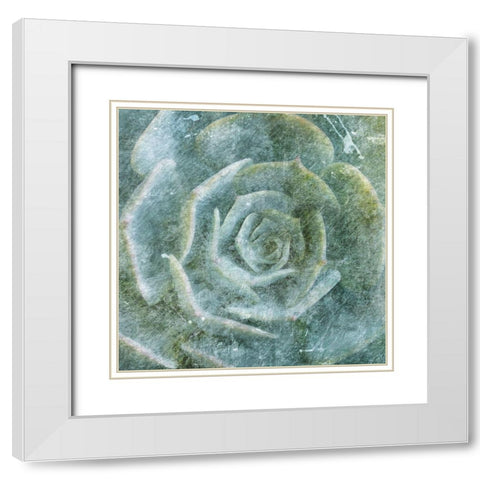 Succulent Through the Fog White Modern Wood Framed Art Print with Double Matting by Villa, Milli
