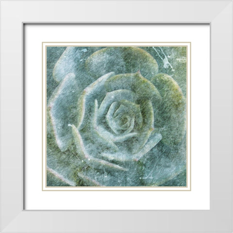 Succulent Through the Fog White Modern Wood Framed Art Print with Double Matting by Villa, Milli