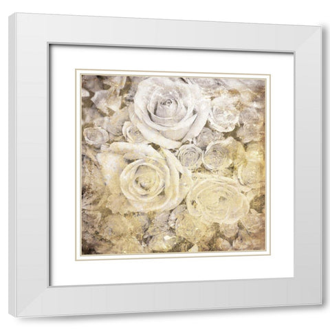 Soft White Yellow Roses White Modern Wood Framed Art Print with Double Matting by Villa, Mlli