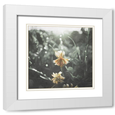 Flower In The Sun White Modern Wood Framed Art Print with Double Matting by Villa, Mlli