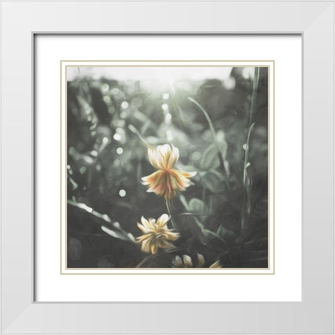 Flower In The Sun White Modern Wood Framed Art Print with Double Matting by Villa, Mlli