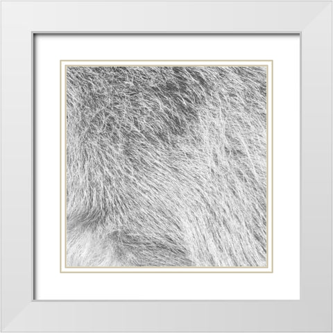 Silver Fur White Modern Wood Framed Art Print with Double Matting by Villa, Mlli