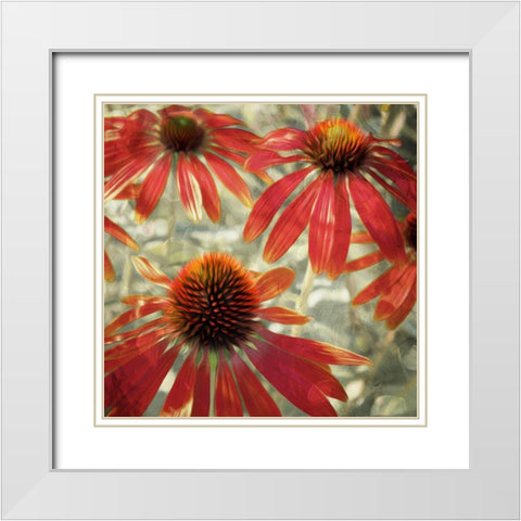 Three Flower Tops White Modern Wood Framed Art Print with Double Matting by Villa, Mlli