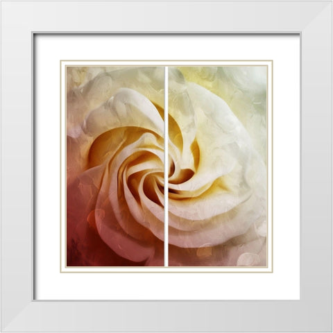 Close To The Flower White Modern Wood Framed Art Print with Double Matting by Villa, Mlli