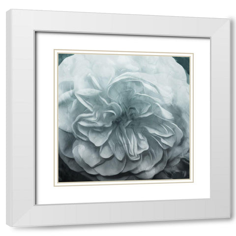 Deep Flower White Modern Wood Framed Art Print with Double Matting by Villa, Mlli
