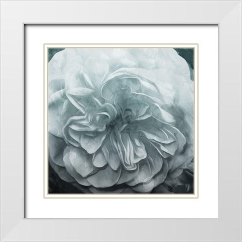 Deep Flower White Modern Wood Framed Art Print with Double Matting by Villa, Mlli