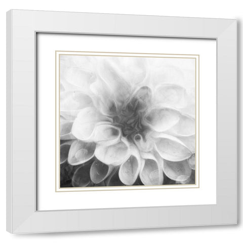 Past Flower White Modern Wood Framed Art Print with Double Matting by Villa, Mlli
