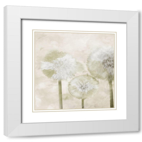 Make A Wish Cream White Modern Wood Framed Art Print with Double Matting by Villa, Mlli