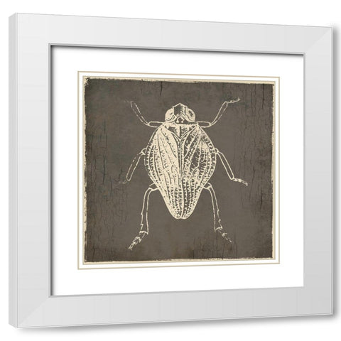 Bug Life One White Modern Wood Framed Art Print with Double Matting by Villa, Mlli