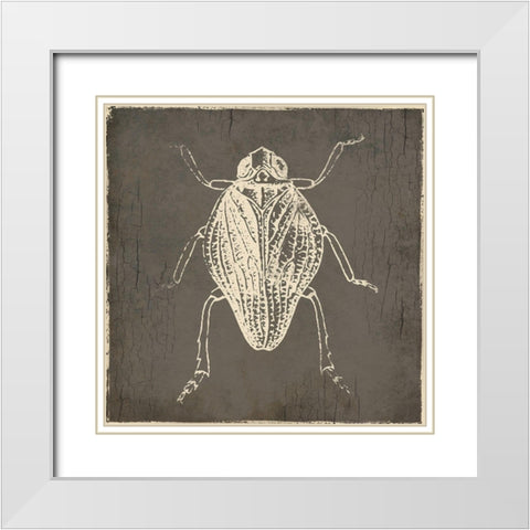 Bug Life One White Modern Wood Framed Art Print with Double Matting by Villa, Mlli