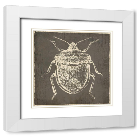 Bug Life Two White Modern Wood Framed Art Print with Double Matting by Villa, Mlli