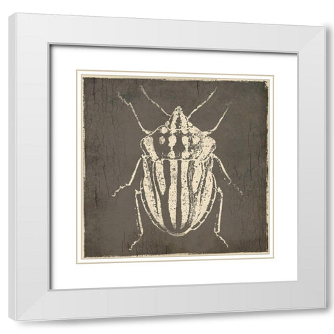 Bug Life Three White Modern Wood Framed Art Print with Double Matting by Villa, Mlli