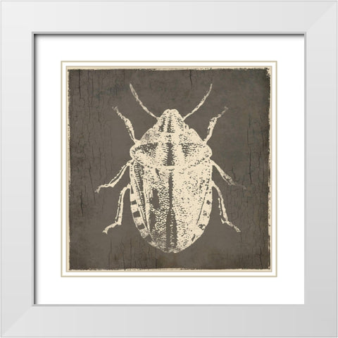 Bug Life Four White Modern Wood Framed Art Print with Double Matting by Villa, Mlli