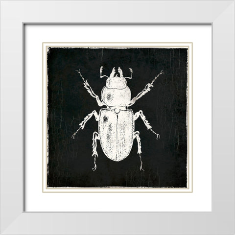 Bug Life Four Black White Modern Wood Framed Art Print with Double Matting by Villa, Mlli