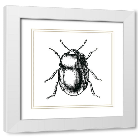 Bug Life White Modern Wood Framed Art Print with Double Matting by Villa, Mlli
