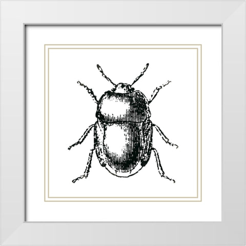 Bug Life White Modern Wood Framed Art Print with Double Matting by Villa, Mlli