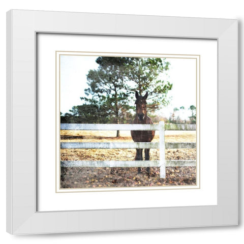 Horse Look White Modern Wood Framed Art Print with Double Matting by Villa, Mlli