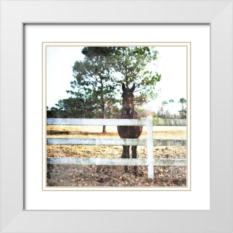 Horse Look White Modern Wood Framed Art Print with Double Matting by Villa, Mlli
