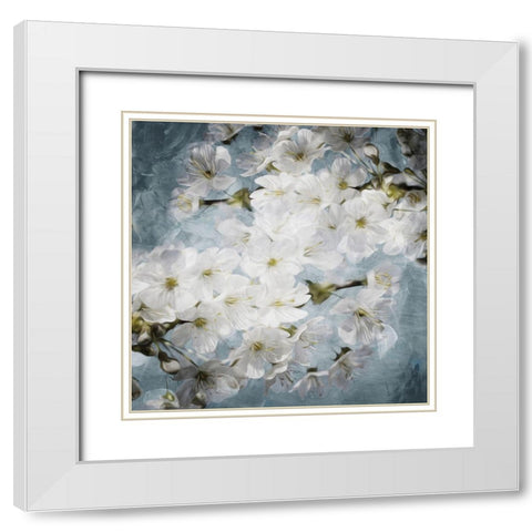 White Flowers With Blue White Modern Wood Framed Art Print with Double Matting by Villa, Mlli