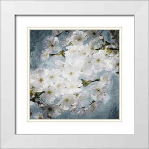 White Flowers With Blue White Modern Wood Framed Art Print with Double Matting by Villa, Mlli