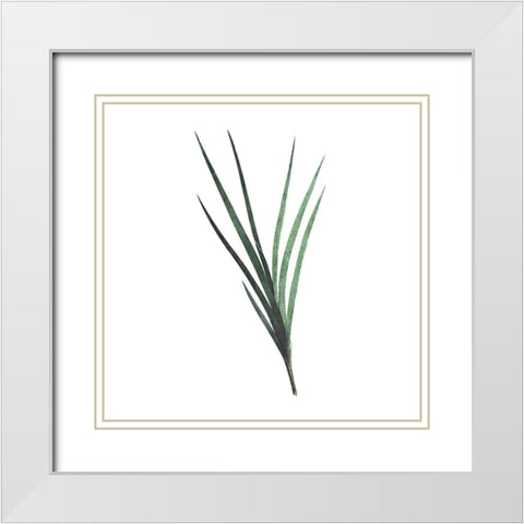 Green Leaves White Modern Wood Framed Art Print with Double Matting by Villa, Mlli