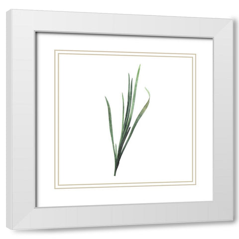Green Leaves Two White Modern Wood Framed Art Print with Double Matting by Villa, Mlli