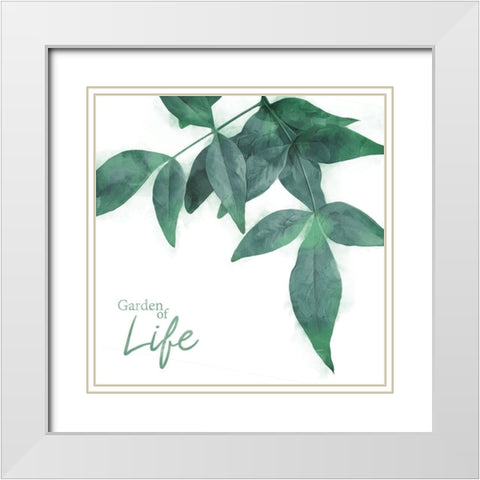 Leaf Life White Modern Wood Framed Art Print with Double Matting by Villa, Mlli