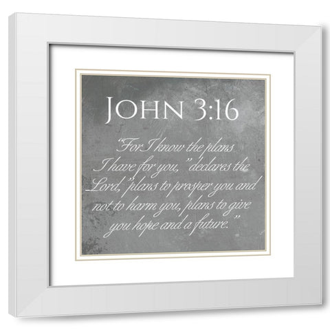John 3:16 White Modern Wood Framed Art Print with Double Matting by Villa, Mlli