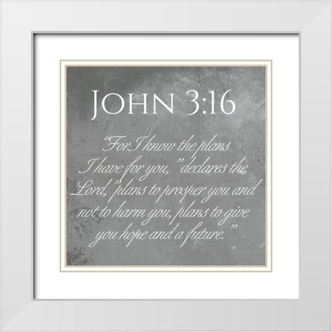 John 3:16 White Modern Wood Framed Art Print with Double Matting by Villa, Mlli