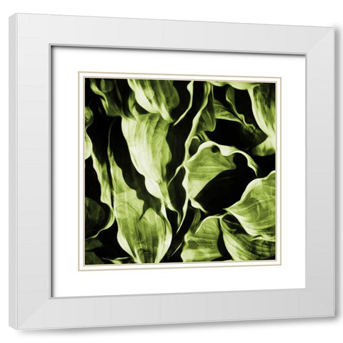 Green Hue Leaves White Modern Wood Framed Art Print with Double Matting by Villa, Mlli